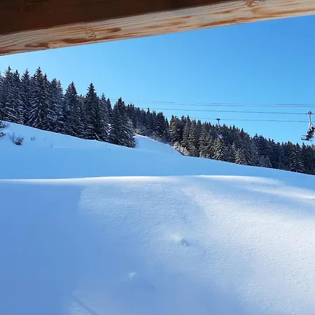 Les 7 Laux Immobilier F Apartment Prapoutel